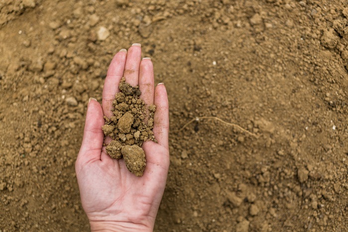 Soil Testing