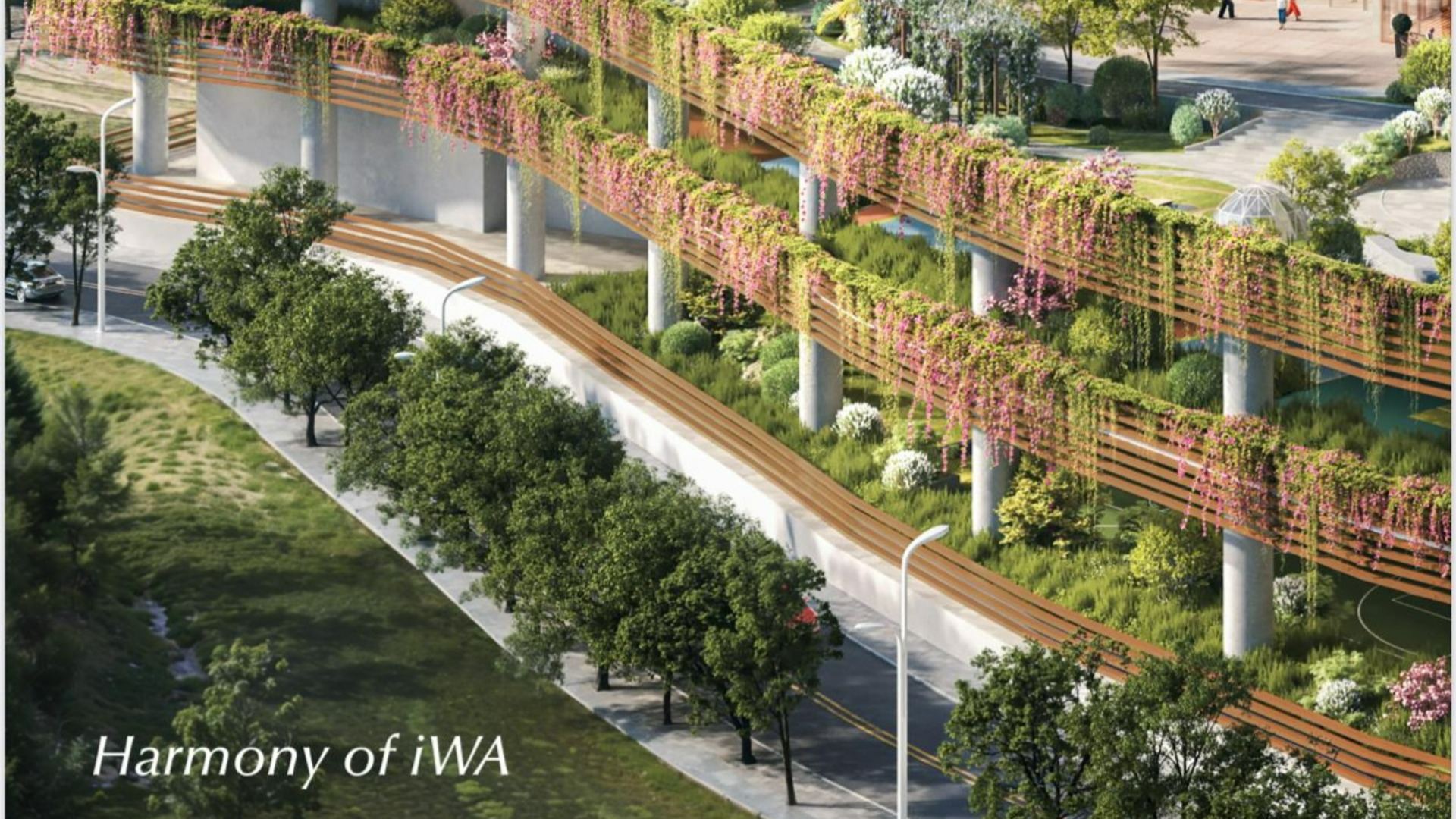 iwa