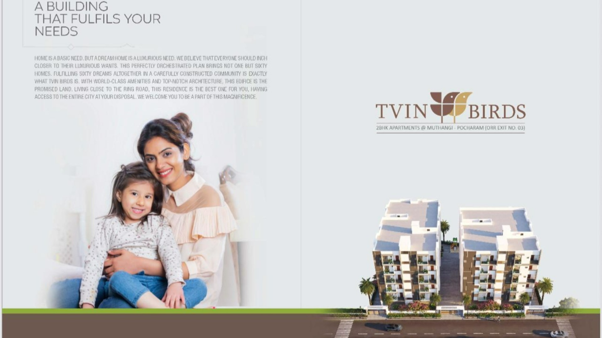 mph-tvin-birds